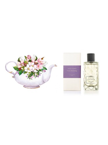 عطر ادکلن کاسی جمیمینگ واتر استوری - Cassis Jamming Water Stories - بررسی، قیمت و خرید