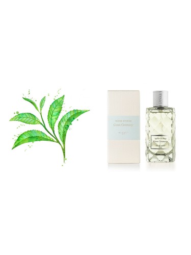 عطر ادکلن گرین سرمونی واتر استوریز - Green Ceremony Water Stories - بررسی، قیمت و خرید