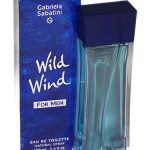 عطر ادکلن وایلد ویند فور مِن گابریلا ساباتینی - Wild Wind for Men Gabriela Sabatini - بررسی، قیمت و خرید