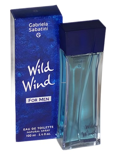 عطر ادکلن وایلد ویند فور مِن گابریلا ساباتینی - Wild Wind for Men Gabriela Sabatini - بررسی، قیمت و خرید