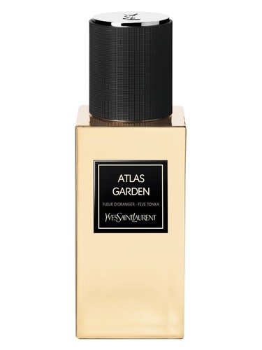 عطر ادکلن اطلس گاردن ایو سن لوران - Atlas Garden Yves Saint Laurent - بررسی، قیمت و خرید