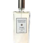 عطر ادکلن ایموجن اِووکِیتیو پِرفیومز - Imogen Evocative Perfumes - بررسی، قیمت و خرید
