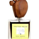 عطر ادکلن کاکتوس پریک فری آردنز - Cactus Prick Fray Ardens - بررسی، قیمت و خرید
