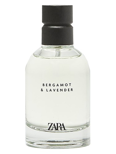 عطر ادکلن برگاموت و لوندر زارا - Bergamot & Lavender Zara - بررسی، قیمت و خرید