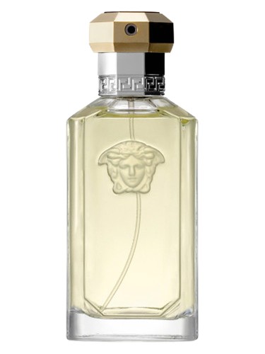 عطر ادکلن دِ دِریمر ورساچه - The Dreamer Versace - بررسی، قیمت و خرید