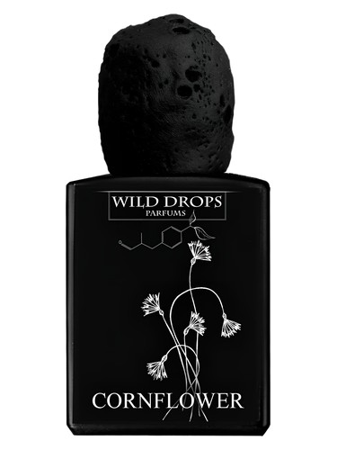 عطر ادکلن کُرن‌فلاور وایلد دراپز پارفومز - Cornflower Wild Drops Parfums - بررسی، قیمت و خرید