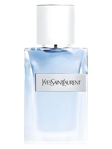 عطر ادکلن ی ایو فرش ایو سن لوران - Y Eau Fraiche Yves Saint Laurent - بررسی، قیمت و خرید