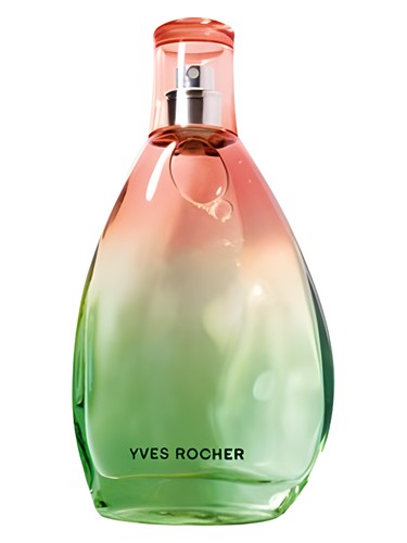عطر ادکلن گرین سامر ایوروشه - Green Summer Yves Rocher - بررسی، قیمت و خرید