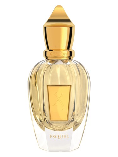 عطر ادکلن اسکل زرژاف - Esquel Xerjoff - بررسی، قیمت و خرید
