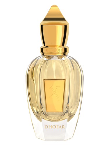 عطر ادکلن ظُفار زرجف - Dhofar Xerjoff - بررسی، قیمت و خرید