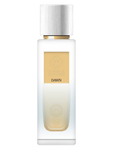 عطر ادکلن دا‌ن د وودز کالکشن - Dawn The Woods Collection - بررسی، قیمت و خرید