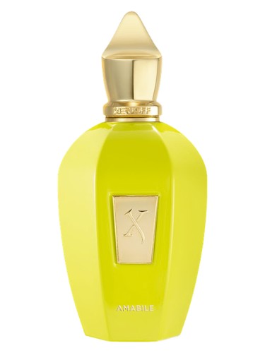 عطر ادکلن امابیل زرجوف - Amabile Xerjoff - بررسی، قیمت و خرید