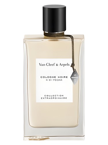 عطر ادکلن کلن نویر ون کلیف اند آرپلز - Cologne Noire Van Cleef & Arpels - بررسی، قیمت و خرید