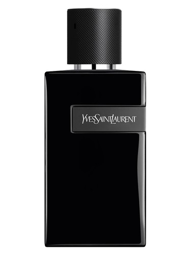 عطر ادکلن وای ل پارفوم ایو سن لوران - Y Le Parfum Yves Saint Laurent - بررسی، قیمت و خرید