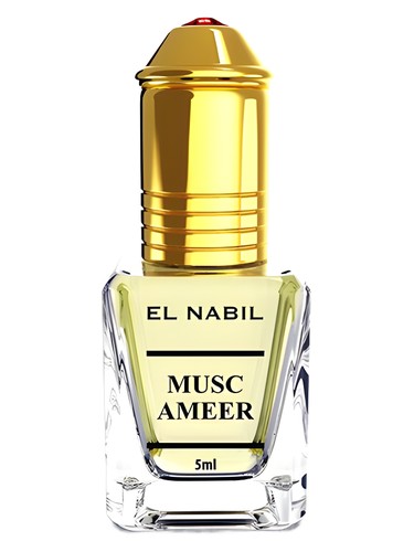 عطر ادکلن ماسک امیر ال نبیل - Musk Ameer El Nabil - بررسی، قیمت و خرید