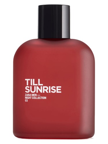عطر ادکلن تیل سان رایز زارا - Till Sunrise Zara - بررسی، قیمت و خرید