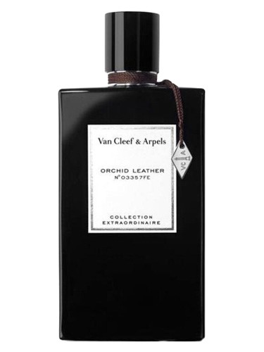 عطر ادکلن ارکید لدر ون کلیف اند آرپلز - Orchid Leather Van Cleef & Arpels - بررسی، قیمت و خرید
