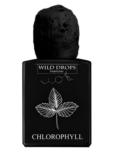 عطر ادکلن کلروفیل وایلد دراپس پارفومز - Chlorophyll Wild Drops Parfums - بررسی، قیمت و خرید