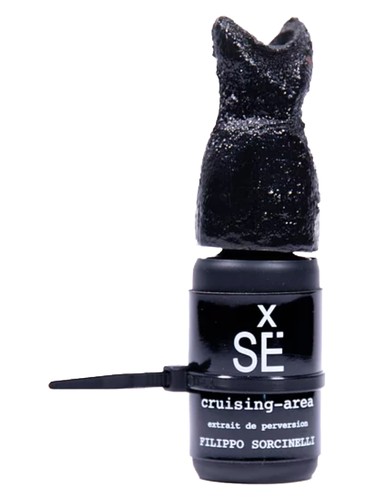 عطر ادکلن کرویزینگ اریا فیلیپو سورچینلی - cruising-area Filippo Sorcinelli - بررسی، قیمت و خرید