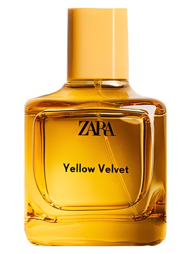 عطر ادکلن یلو ولوت ۲۰۲۱ زارا - Yellow Velvet 2021 Zara - بررسی، قیمت و خرید