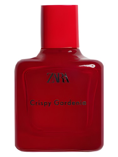 عطر ادکلن کریسپی گاردنیا زارا - Crispy Gardenia Zara - بررسی، قیمت و خرید
