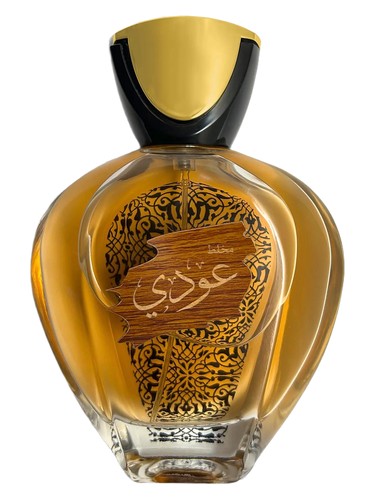 عطر ادکلن اودی دما پرفیومز - OUDI DHAMMA PERFUMES - بررسی، قیمت و خرید