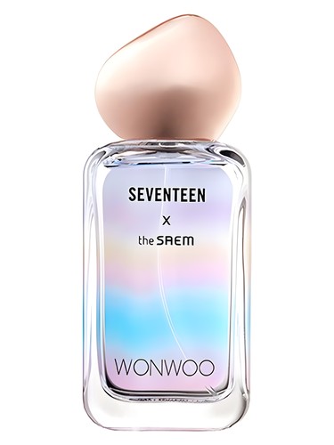 عطر ادکلن سونتین ایکس وونوو دی سه‌ام - Seventeen X Wonwoo The SAEM - بررسی، قیمت و خرید