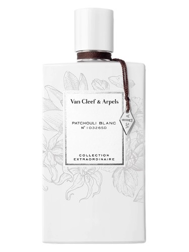 عطر ادکلن پچولی بلانک ون کلیف اند آرپلز - Patchouli Blanc Van Cleef & Arpels - بررسی، قیمت و خرید
