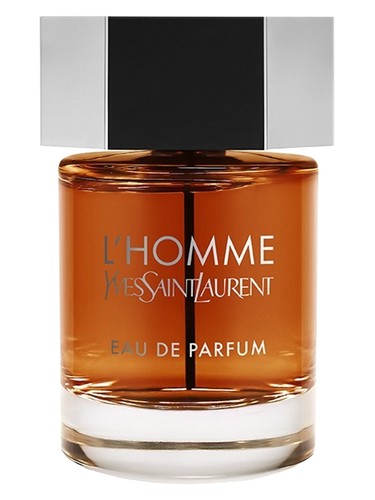 عطر ادکلن لهوم اُ د پارفوم ایو سن لوران - L'Homme Eau de Parfum Yves Saint Laurent - بررسی، قیمت و خرید