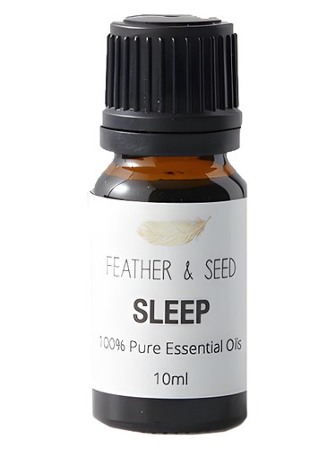 عطر ادکلن اسلیپ سنسر آی ام - Sleep Sensor I Am - بررسی، قیمت و خرید
