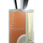 عطر ادکلن تیینا فرگمنس بای ان وی سی - Thyina Fragments by NVC - بررسی، قیمت و خرید