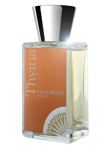 عطر ادکلن تیینا فرگمنس بای ان وی سی - Thyina Fragments by NVC - بررسی، قیمت و خرید