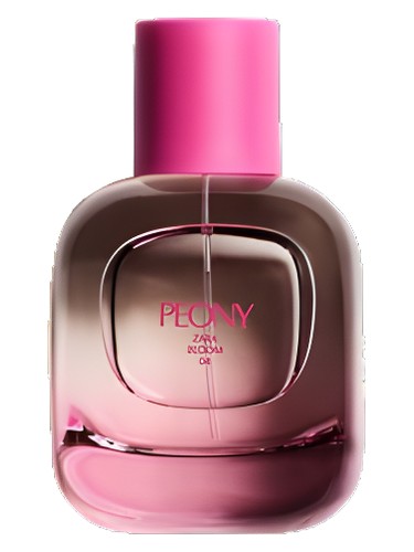عطر ادکلن پئونی زارا - Peony Zara - بررسی، قیمت و خرید