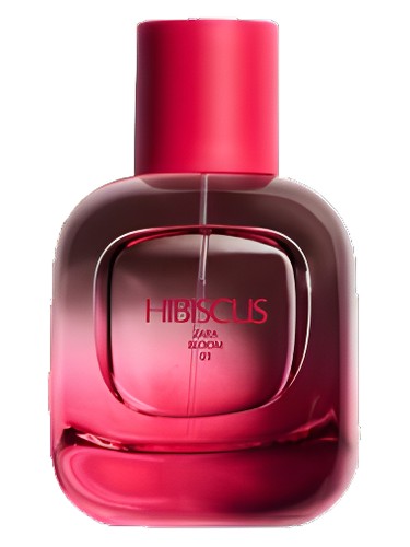 عطر ادکلن هايبیسکاس زارا - Hibiscus Zara - بررسی، قیمت و خرید