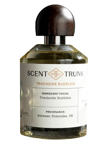 عطر ادکلن ترکساید بودلیا سِنت ترامک - Trackside Buddleia Scent Trunk - بررسی، قیمت و خرید