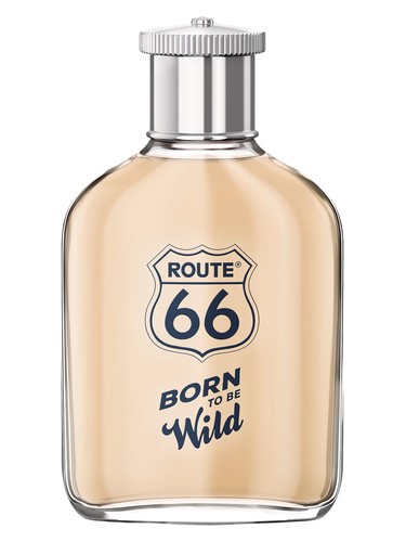 عطر ادکلن - Born To Be Wild Route 66 - بررسی، قیمت و خرید