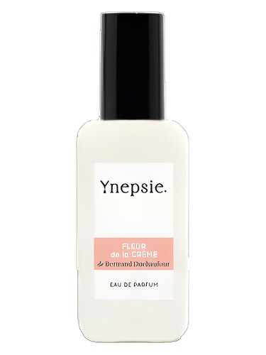 عطر ادکلن فلور د لا کرم یینپسی - Fleur de la Crème Ynepsie - بررسی، قیمت و خرید