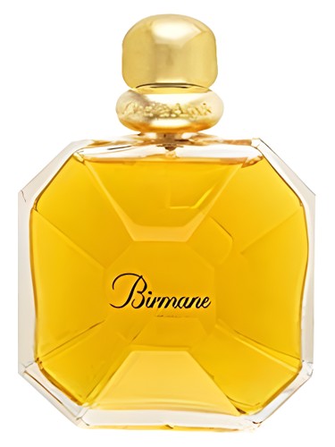 عطر ادکلن بیرمان ون کلیف اند آرپلز - Birmane Van Cleef & Arpels - بررسی، قیمت و خرید