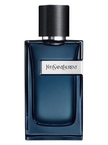 عطر ادکلن وای ادو پرفیوم اینتنس ایو سن لورن - Y Eau de Parfum Intense Yves Saint Laurent - بررسی، قیمت و خرید