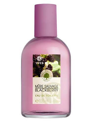 عطر ادکلن مورو ساواژ ایو روشه - Mure Sauvage Yves Rocher - بررسی، قیمت و خرید