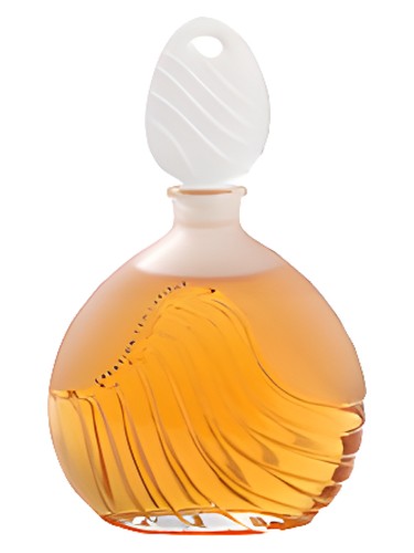 عطر ادکلن کریشِن 1984 تد لاپیدوس - Creation 1984 Ted Lapidus - بررسی، قیمت و خرید