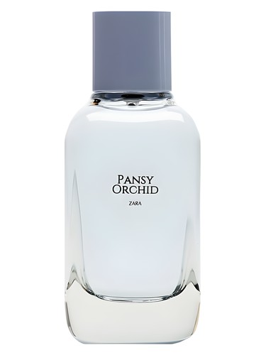 عطر ادکلن پنزی ارکید زارا - Pansy Orchid Zara - بررسی، قیمت و خرید
