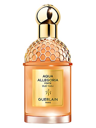 عطر ادکلن آکوا الگوریا فورته عود یوزو گِرلَن - Aqua Allegoria Forte Oud Yuzu Guerlain - بررسی، قیمت و خرید