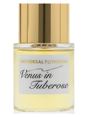 عطر ادکلن ونوس این تیوب رز یونیورسال فلاورینگ - Venus in Tuberose Universal Flowering - بررسی، قیمت و خرید
