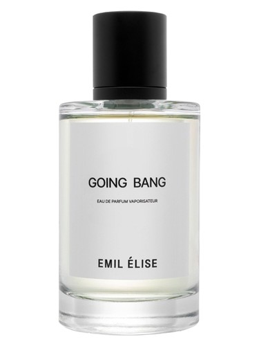 عطر ادکلن گوینگ بنگ امیلی الیزه - Going Bang Emil Elise - بررسی، قیمت و خرید