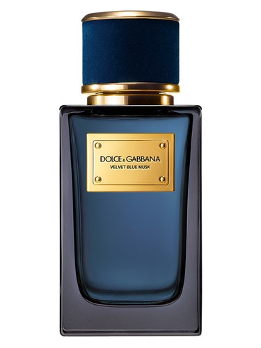 عطر ادکلن ولوت بلو ماسک دولچه گابانا - Velvet Blue Musk Dolce&Gabbana - بررسی، قیمت و خرید