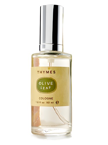 عطر ادکلن الیو لیف تایمز - Olive Leaf Thymes - بررسی، قیمت و خرید