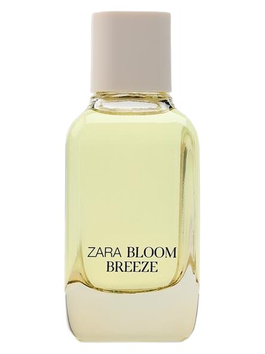 عطر ادکلن بلوم بریز زارا - Bloom Breeze Zara - بررسی، قیمت و خرید