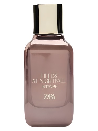 عطر ادکلن فیلدز ات نایت‌فال اینتنس ۲۰۲۴ زارا - Fields at Nightfall Intense 2024 Zara - بررسی، قیمت و خرید