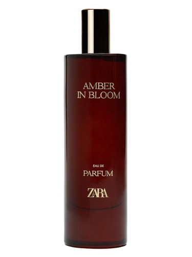 عطر ادکلن امبر این بلوم زارا - Amber In Bloom Zara - بررسی، قیمت و خرید